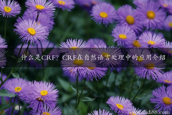 什么是CRF？CRF在自然语言处理中的应用介绍